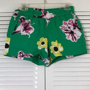 Pull-on J Crew Shorts